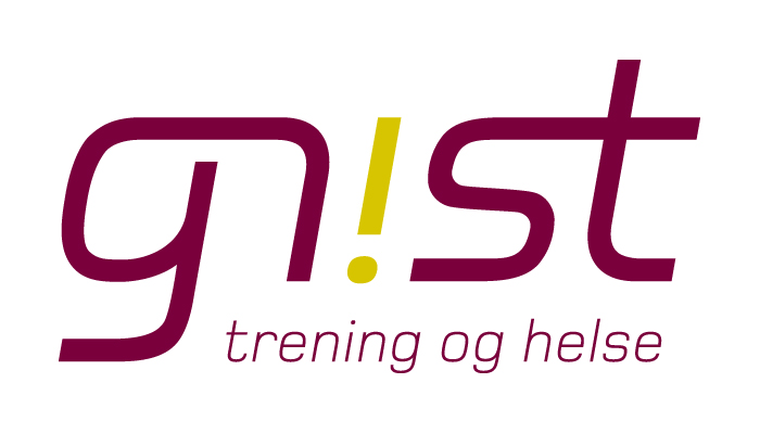 gnist_neg-logo